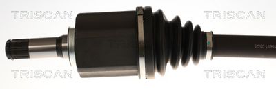 PLANETARA TRISCAN 854016651 1