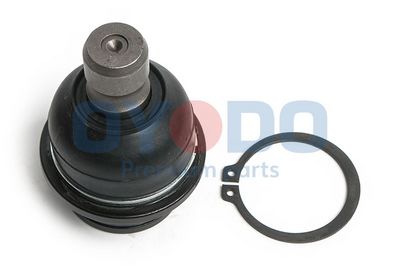 Šarnyras / girgždukas