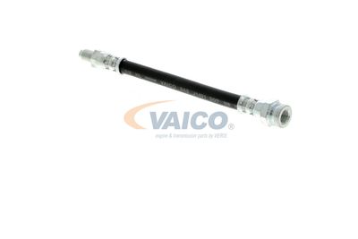 FURTUN FRANA VAICO V249644 7