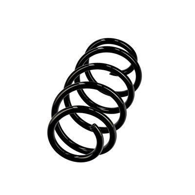 ARC SPIRAL EIBACH R10284 14