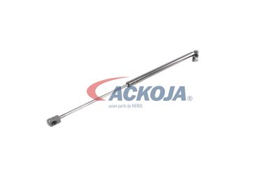 AMORTIZOR PORTBAGAJ ACKOJA A260084 55