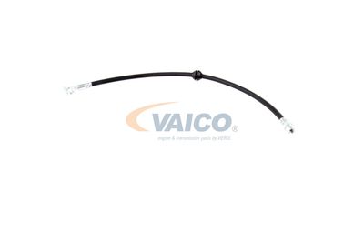 FURTUN FRANA VAICO V201909 14