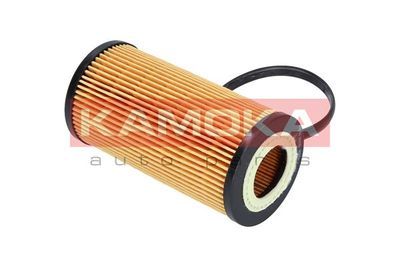 Oil Filter F110501