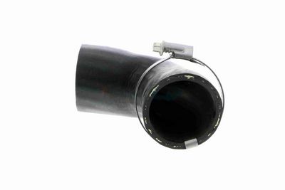 LADELUFTSCHLAUCH VAICO V251020 2