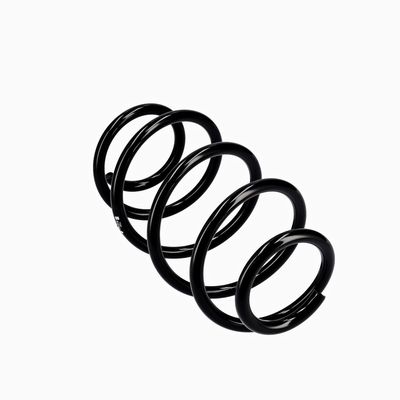 ARC SPIRAL EIBACH R10302 11