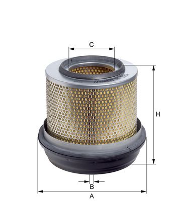 Oro filtras