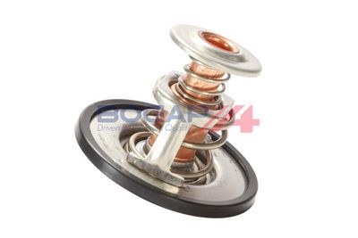TERMOSTAT LICHID RACIRE BOGAP S4234103 4