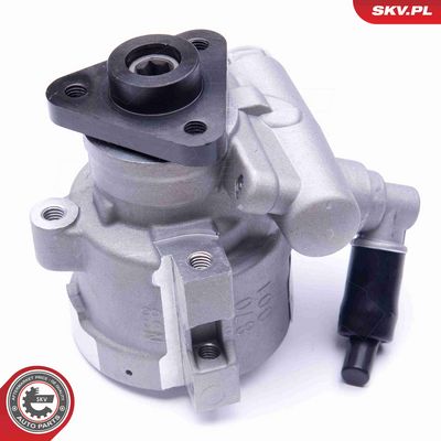 POMPA HIDRAULICA SISTEM DE DIRECTIE ESEN SKV 10SKV252 2