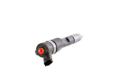 INJECTOR REMANTE 002003001718R 31
