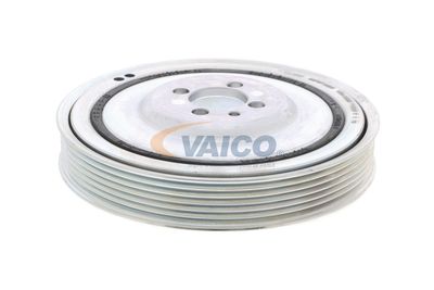 SET FULIE ARBORE COTIT VAICO V240865 10