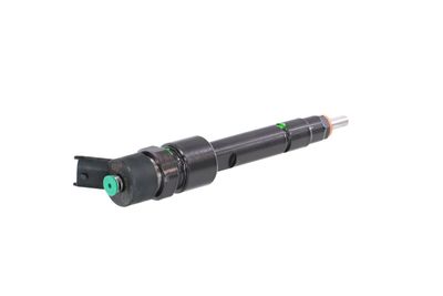 INJECTOR REMANTE 002003000970R 34