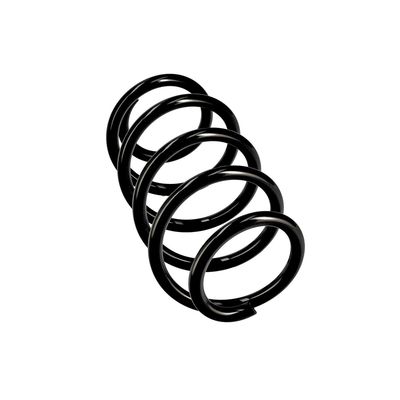ARC SPIRAL EIBACH R10284 24