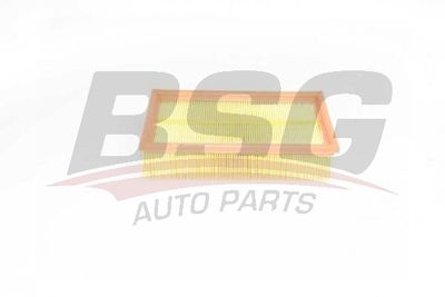 Воздушный фильтр BSG BSG 75-135-007 для RENAULT MODUS