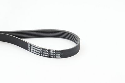 CONTINENTAL CTAM Keilrippenriemen