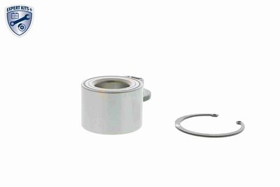 SET RULMENT ROATA VAICO V250460 13