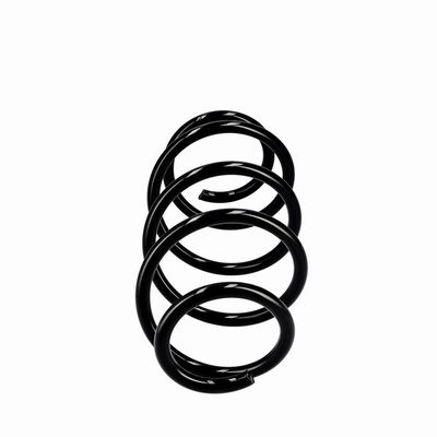 ARC SPIRAL EIBACH R10288 1