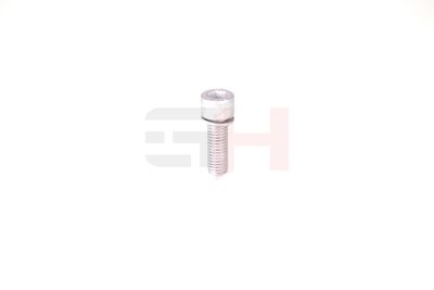 SURUB DE GOLIRE AX GH GH399902 14