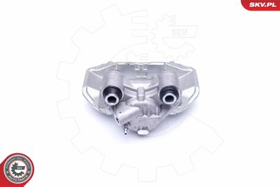 Brake Caliper 42SKV112