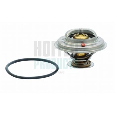 TERMOSTAT LICHID RACIRE