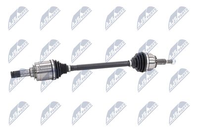 PLANETARA NTY NPWCH126 6