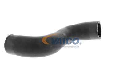 FURTUN EAR SUPRAALIMENTARE VAICO V104668 45