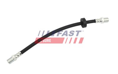 Stabdžių žarnelė