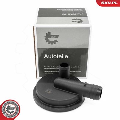 Ventil, Kurbelgehäuseentlüftung