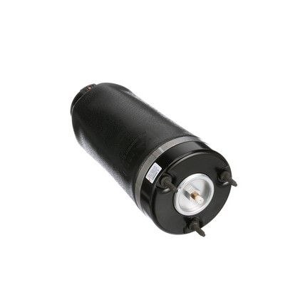 LUFTFEDER FAHRWERK Arnott A2587 32