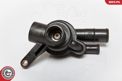 TERMOSTAT LICHID RACIRE