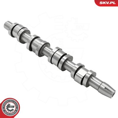 AX CU CAME ESEN SKV 80SKV042 1