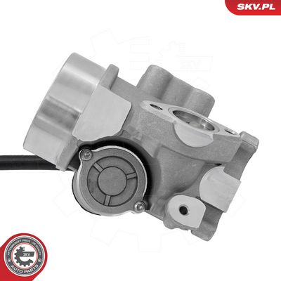 ESEN SKV - AGR - Ventil OPEL, NISSAN, RENAULT, VAUXHALL , 14SKV347