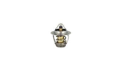 TERMOSTAT LICHID RACIRE NRF 725193 28