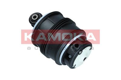 Air Spring, suspension 2079040