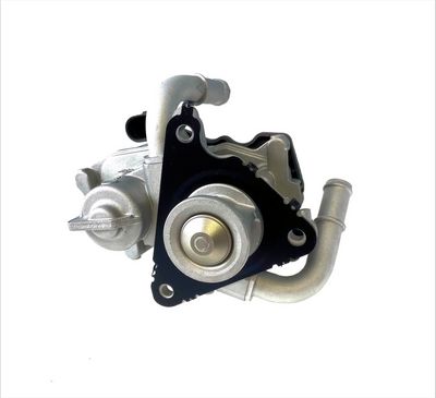 AGR-Ventil ELTA AUTOMOTIVE EE6296