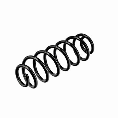 ARC SPIRAL EIBACH R10795 4
