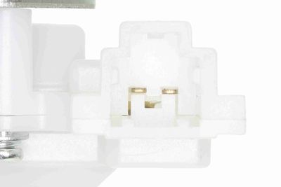 INCUIETOARE HAION ACKOJA A26850025 2