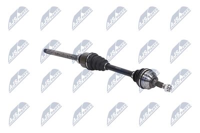 PLANETARA NTY NPWPE081 11