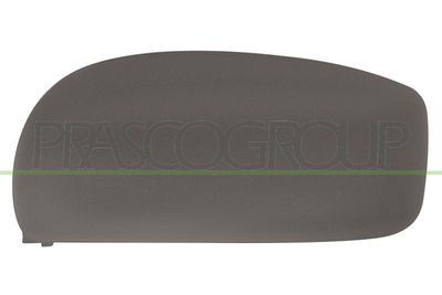 ACOPERIRE OGLINDA EXTERIOARA