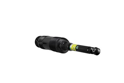 LUFTFEDERBEIN Arnott SK2460 34