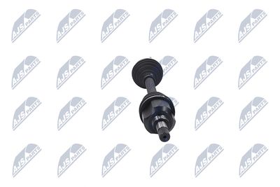 PLANETARA NTY NPWCT051 33