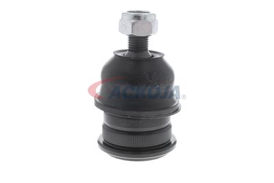 CAP DE BARA ACKOJA A321160 24