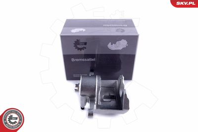 Brake Caliper 55SKV111