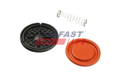 MEMBRANA AERISIRE CARCASA ARBORE COTIT