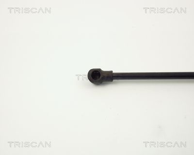 AMORTIZOR PORTBAGAJ KAWE 871011220 2