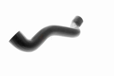 FURTUN RADIATOR VAICO V203329 4