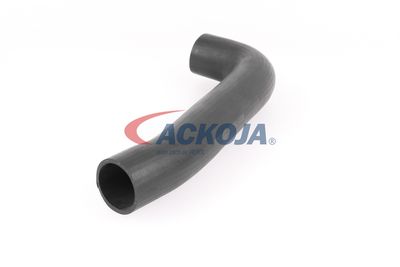 FURTUN EAR SUPRAALIMENTARE ACKOJA A379602 27