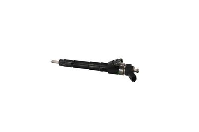 INJECTOR REMANTE 002003000037R 17