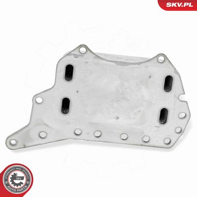 RADIATOR ULEI ULEI MOTOR ESEN SKV 31SKV306 3