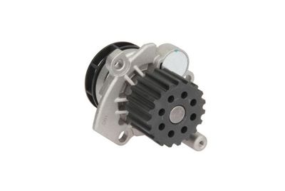 Water Pump, engine cooling D1W054TT