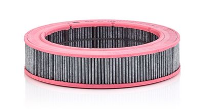 MANN-FILTER Filtras, salono oras